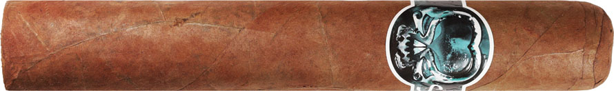 Asylum Schizo 70x7 7  * 70