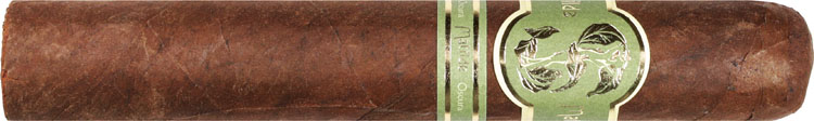 Matilde Oscura Grande 6 * 60