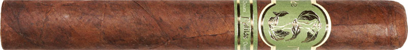 Matilde Oscura Toro Bravo 61/2 * 54