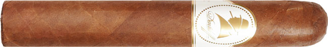 Davidoff Winston Churchill Robusto 51/2 * 52