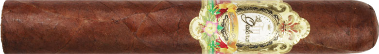 La Galera Habano Pilon Gordo 61/4 * 60