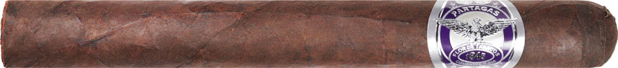 Partagas 1845 Extra Oscuro Churchill 7 1/4 * 54