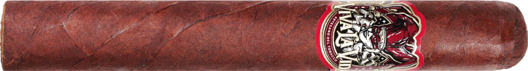 Viva La Vida Toro 6 * 54