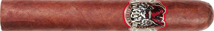 Viva La Vida Gran Toro 6 * 60
