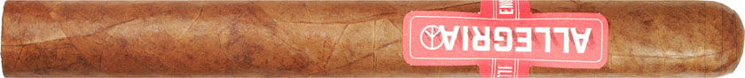 Illusione Allegria Churchill 63/4 * 48