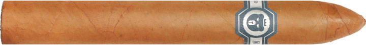 Warped Limited Edition El Oso Blanco 6 * 48