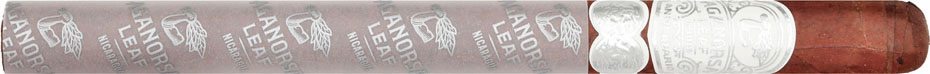 Aganorsa Leaf Aniversario Corojo Lancero 71/2 * 40