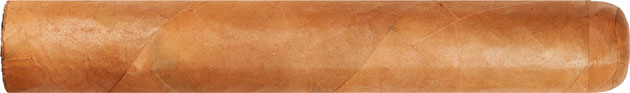 Major Mike s Shade Robusto 5  * 50