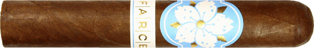 Room 101 The Farce Nicaragua Robusto 51/2 * 50