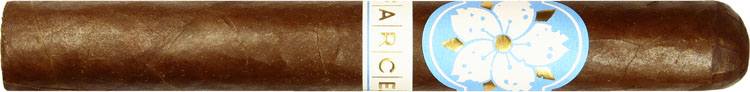 Room 101 The Farce Nicaragua Toro 6 * 50