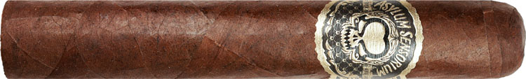 Asylum Sensorium 60x6 6 * 60