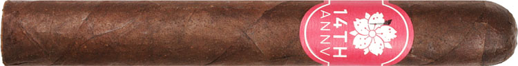Room 101 14th Anniversary Toro 6 * 52
