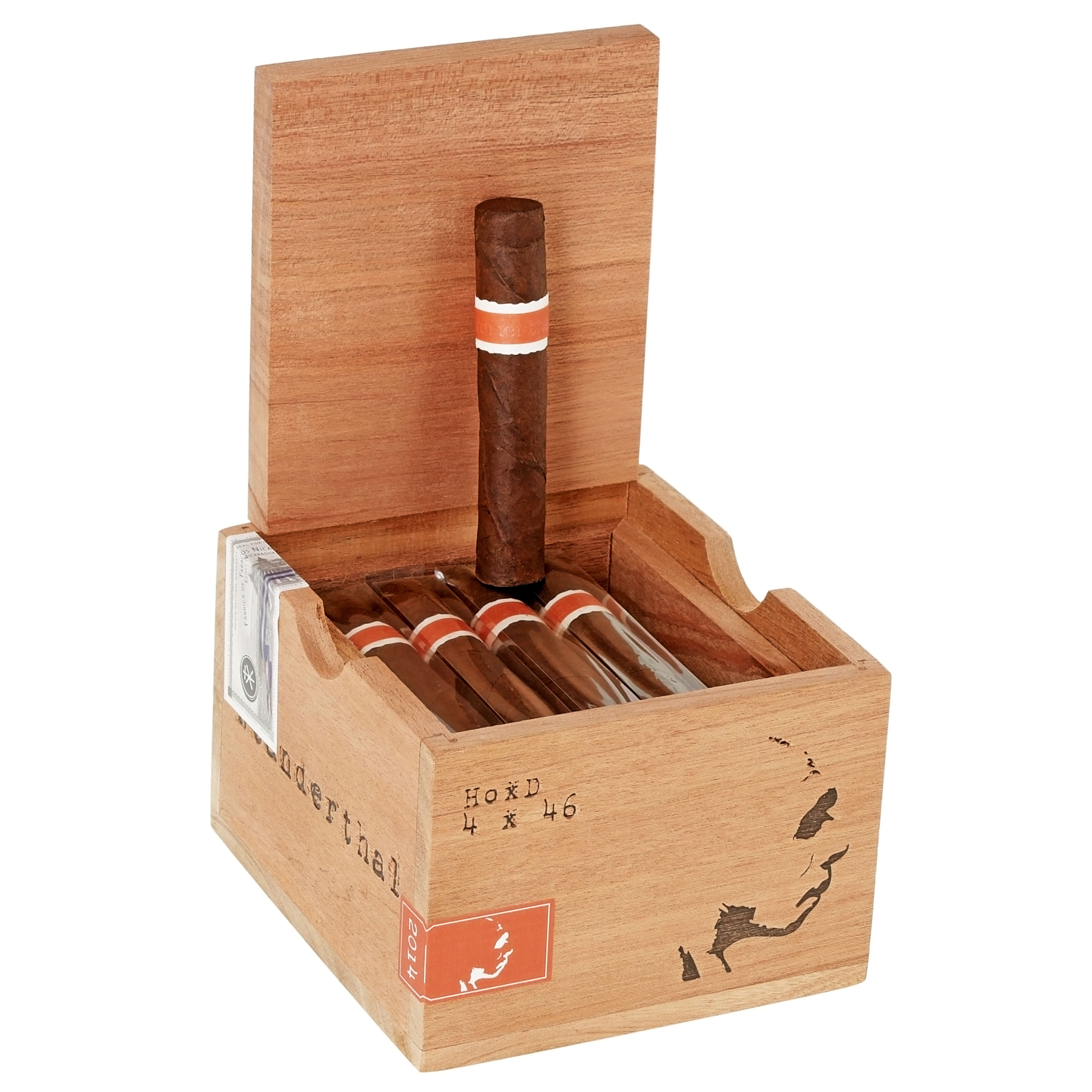 RoMa Craft Neanderthal HoxD 4