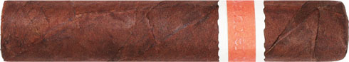 RoMa Craft Neanderthal HoxD 4 * 46