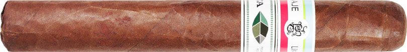 Tatuaje PCA 2023 6 3/8 * 54