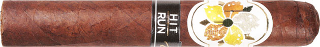 Room101 Hit and Run Redux Robusto 5  * 50