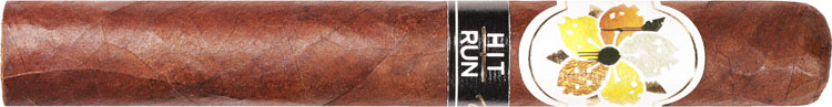 Room101 Hit and Run Redux Toro 6 * 50