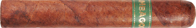 Umbagog Bronzeback 5 * 48