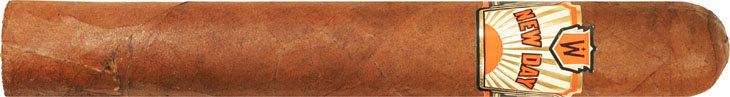 Warped New Day Toro 6 * 52