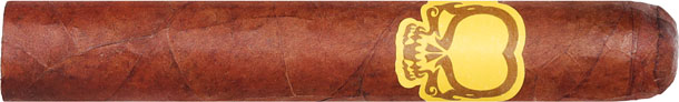 Asylum 13 Split Personality Robusto 5 * 50