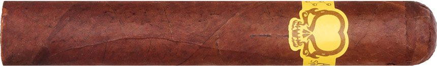 Asylum 13 Split Personality 770 7 * 70