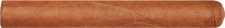 Ashton Premium House Selection Natural Toro 6  * 50
