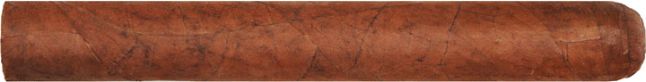 Ashton Premium House Selection Sun Grown Toro 6  * 50