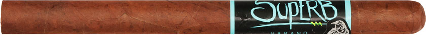 Blackbird Superb Lancero 7 * 38
