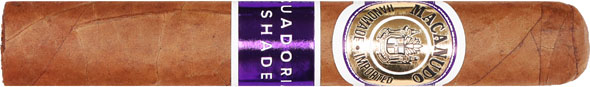 Macanudo Ecuadorian Shade Robusto 5 * 50