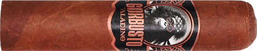 Aladino Gorbusto Orang 41/2 * 60